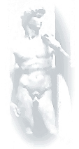 nw_dvd.gif (12477 bytes)